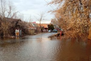 Чрезвычайная ситуация в связи с паводком объявлена в пригороде Брянска