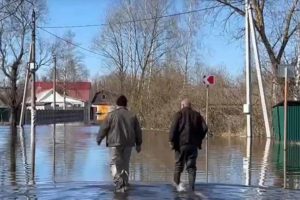 Паводок-2023: «большая вода» на Десне начала смещаться от Брянска к Трубчевску