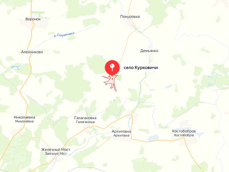 Украина обстреляла брянское село Курковичи, пострадавших нет — губернатор