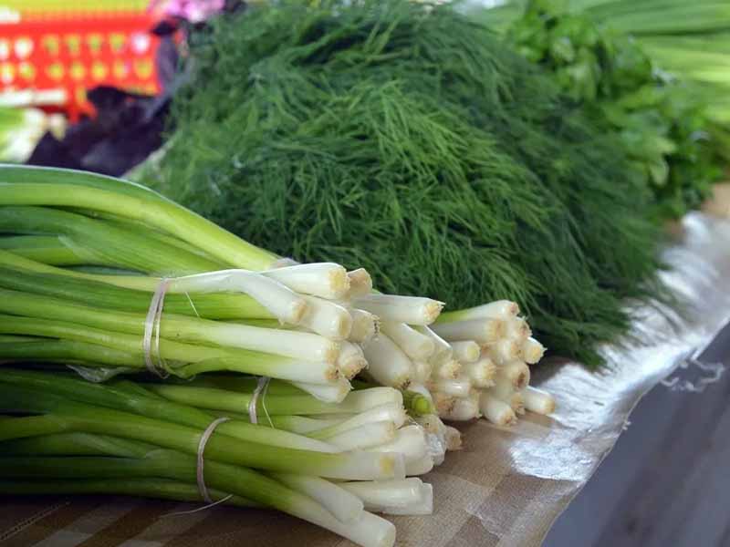 Сезонные овощные базары в Брянске решили открыть уже в мае