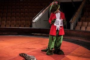 Брянский цирк в День защиты детей, 1 июня, пригласил ребят потрогать крокодила