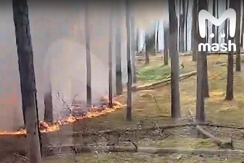 Спровоцированный обстрелами ВСУ лесной пожар в Климовском районе полыхает с субботы
