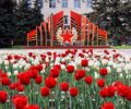Брянск украсили 100 тысяч тюльпанов
