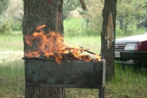 В брянских лесах ещё на месяц введён особый противопожарный режим