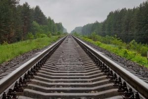 В Брянской области предотвратили ещё один подрыв железной дороги — Mash