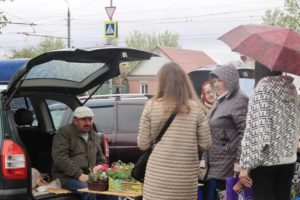 Власти Брянска после открытия овощных базаров вышли на охоту за нелегальными торговцами