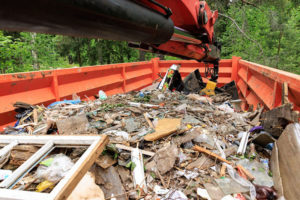 Субботник по очистке от мусора леса на окраине Брянска анонсирован на четверг