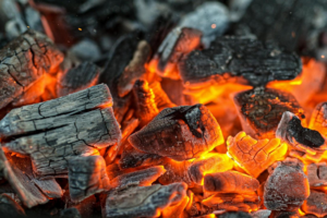 «Мираторг» запустил производство премиального древесного угля для гриля и барбекю