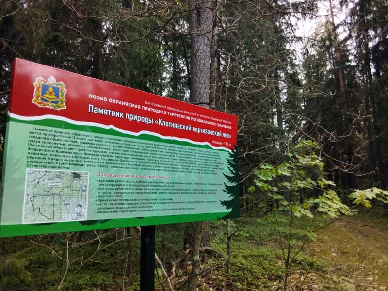 В брянских лесах обновляют аншлаги памятников природы