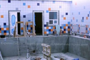 Бассейн в гимназии №6 Брянска обещают сдать в срок — к новому учебному году