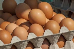 Россельхознадзор не пустил в брянские магазины 27 тысяч «левых» куриных яиц