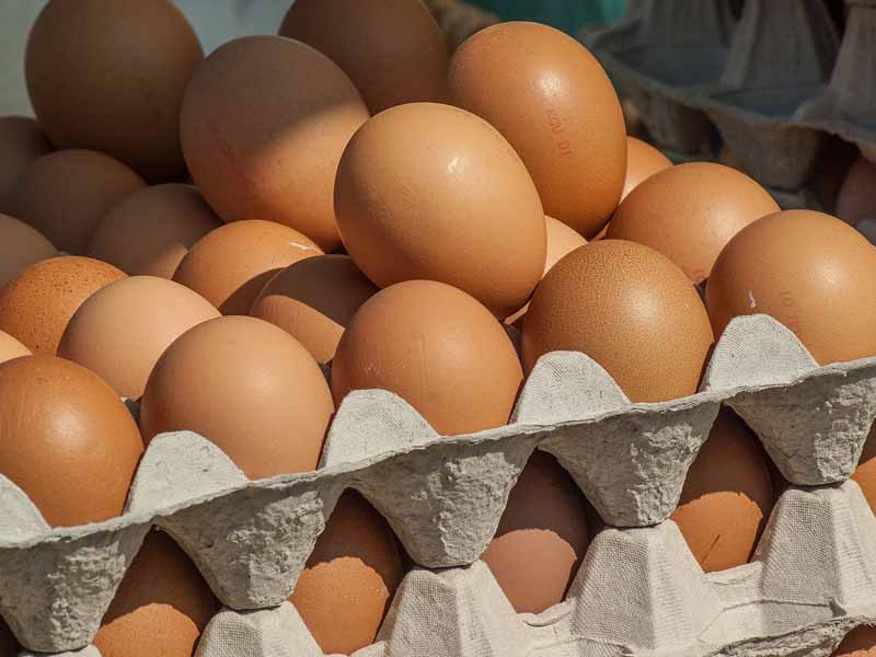 Россельхознадзор не пустил в брянские магазины 27 тысяч «левых» куриных яиц