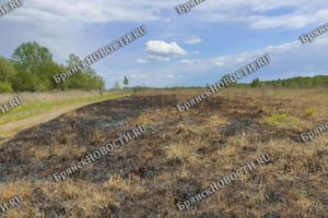 Новозыбковские пожарные тушили горящую свалку в пригороде