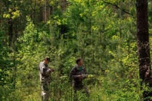 Брянские леса обследуют для возможного перевода в «чистую зону»