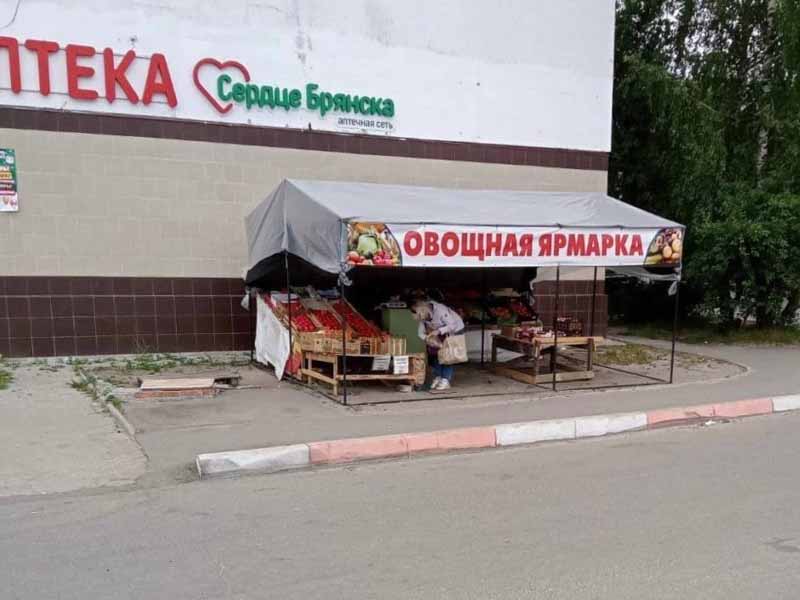 В Брянске демонтировали ещё одну незаконную «овощную ярмарку»