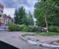 Резкое ухудшение погоды на выходных: в преддверии шквал ломает деревья в Брянске