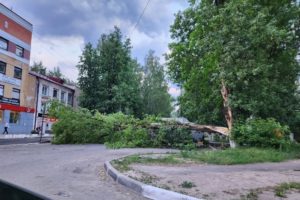 Резкое ухудшение погоды на выходных: в преддверии шквал ломает деревья в Брянске