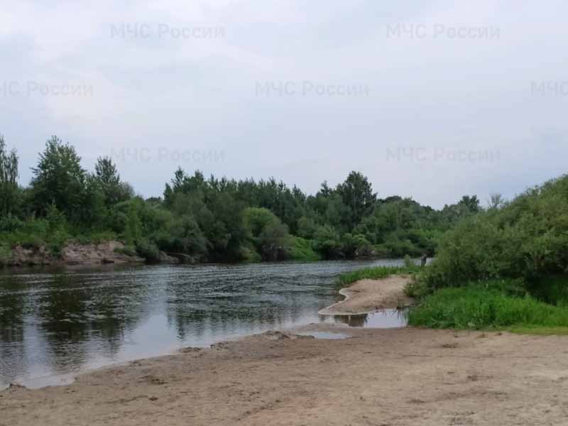 Под Новозыбковом в реке Ипуть утонул подросток