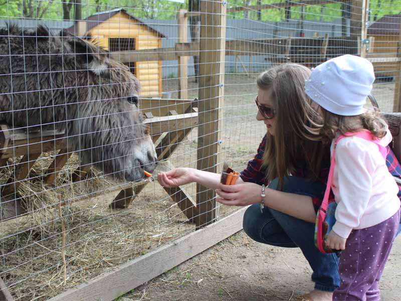 Брянский зоопарк попросил посетителей не перекармливать животных принесённым кормом