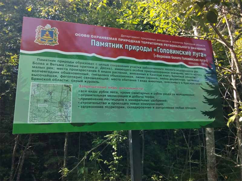 В брянских лесах продолжается установка аншлагов местных памятников природы. Теперь под Дятьково