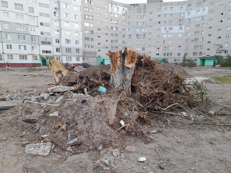 Деревья из вырубленных бежицких дворов сжигаются на окраине Брянска