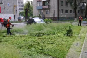 Жителям Брянска рассказали, куда пожаловаться на траву «по пояс»