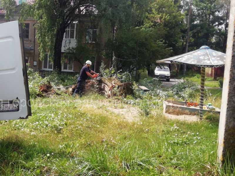 Упавшие деревья, оборванные провода, поврежденные светофоры: в Брянске устраняют последствия разбушевавшейся стихии