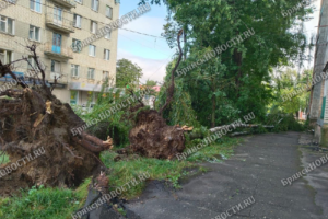 Новозыбков подсчитывает ущерб после разгула стихии 20 июля: повреждены два дома, без света остались две десятка улиц