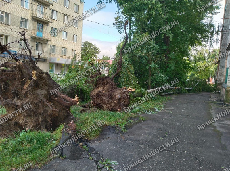 Новозыбков подсчитывает ущерб после разгула стихии 20 июля: повреждены два дома, без света остались две десятка улиц