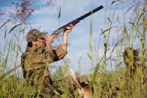 Летне-осенний сезон охоты открывается в Брянской области с 25 июля. Везде, кроме приграничья