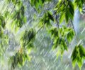 В Брянской области 7 мая ожидаются ливни с грозами и шквалистым ветром 7 мая