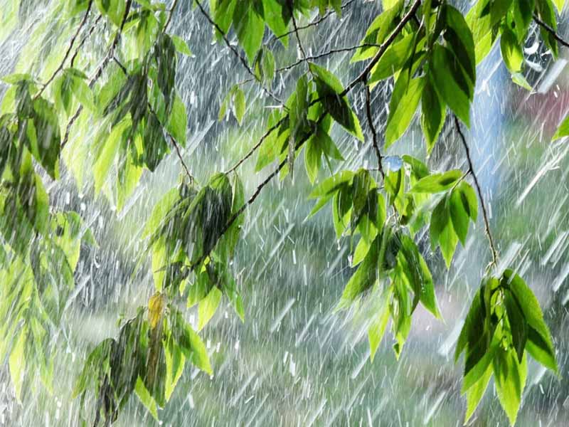 В Брянской области днём 18 июля ожидаются сильные дожди, грозы, град и шквалистый ветер
