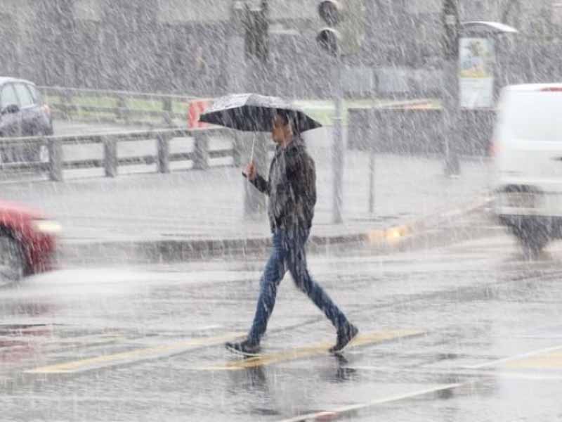 Брянских жителей предупредили о ливнях с грозами, градом и шквалистым ветром 26 июля