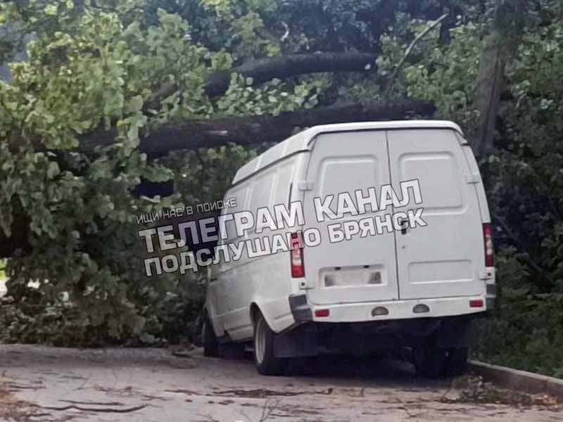 Упавшие деревья и потоп: после жары и шквалистого ветра Брянск накрыл сильнейший ливень