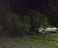 Три автомобиля раздавлены упавшим тополем во дворе дома в Брянске