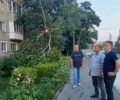 Ливень и шквалистый ветер устроили «деревопад» в Фокинском районе Брянска