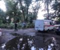 Ливень и шквалистый ветер устроили «деревопад» в Фокинском районе Брянска