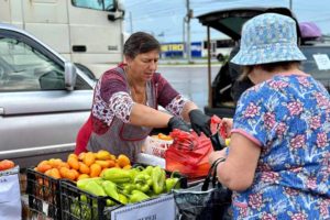 Овощные ярмарки выходного дня откроются в Брянске с 17 августа