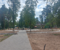 Благоустройство центра Жуковки с вырубкой всех деревьев должно завершиться до конца лета