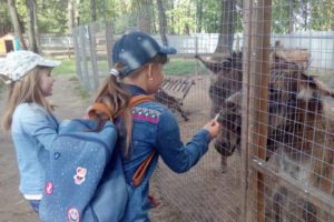 Брянский зоопарк 1 сентября устроит «бесплатный вход» для первоклассников