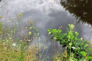 Ребёнок утонул в малой реке в окрестностях Жуковки