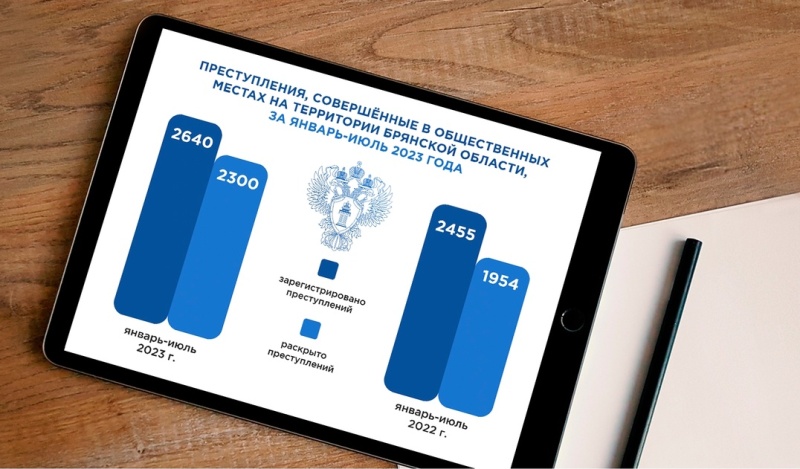 Уличная преступность в Брянской области выросла на 7,5%