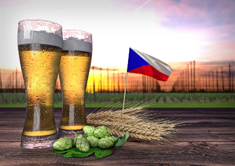 День чешского пива: кто идёт за чешским в Брянске?