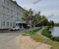 Мужчина утонул в озере в центре Новозыбкова