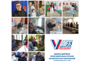 Явка избирателей в Брянской области везде выше 25%, в Сачковичах – выше 60%