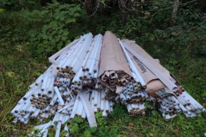 Дятьковская прокуратура потребовала очистить лес от ламп