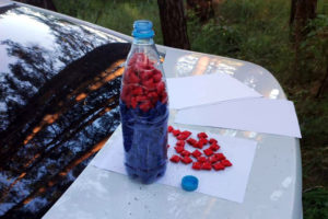 Брянская полиция провела ревизию тайника с расфасованными метадоном и гашишем