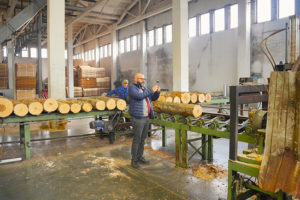 Турецкие компании выразили желание закупать брянскую древесину