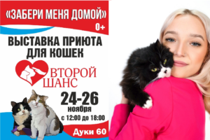 «Забери меня домой»: в Брянске проходит традиционная выставка кошек от «Второго шанса»