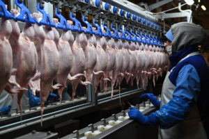 ФАС начала антикартельные проверки производителей яиц и курятины